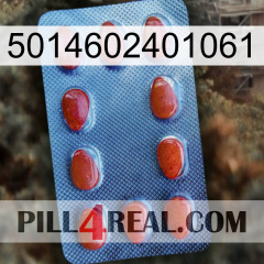 5014602401061 06